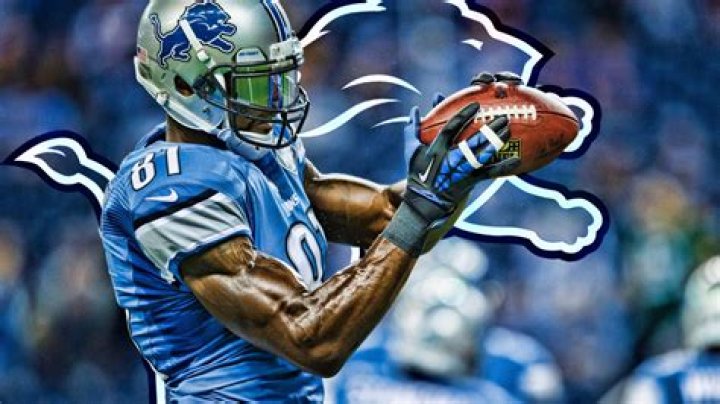 Calvin Johnson