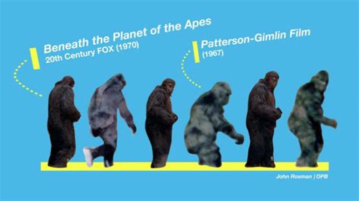 How tall is Edi Patterson