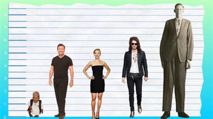 How tall is Ricky Gervais